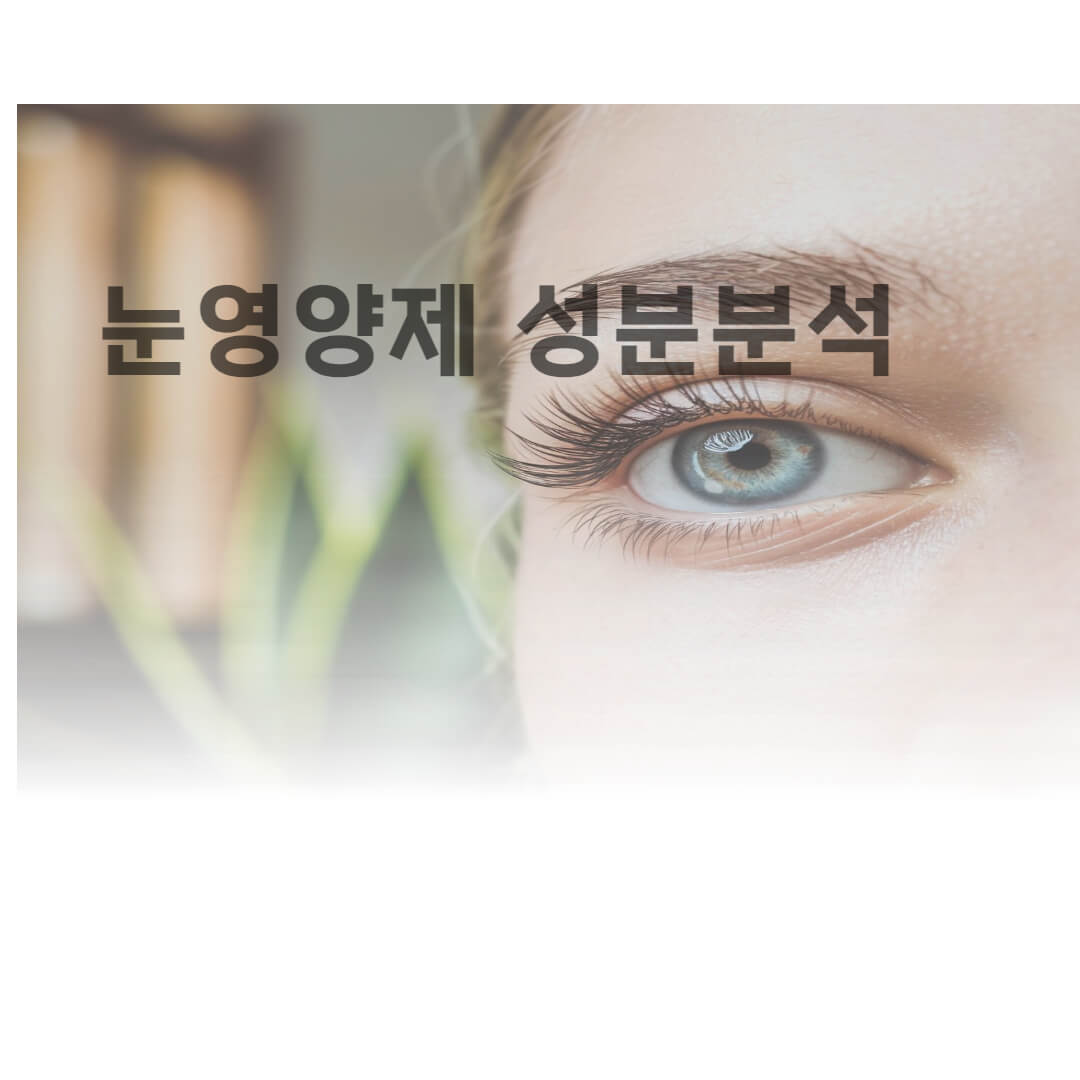 눈영양제 성분분석
