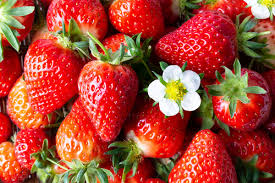 3월 국내 여행지 추천