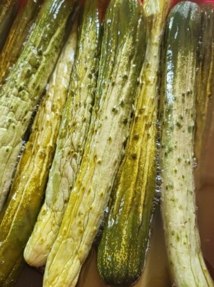 오이지 담그는 방법