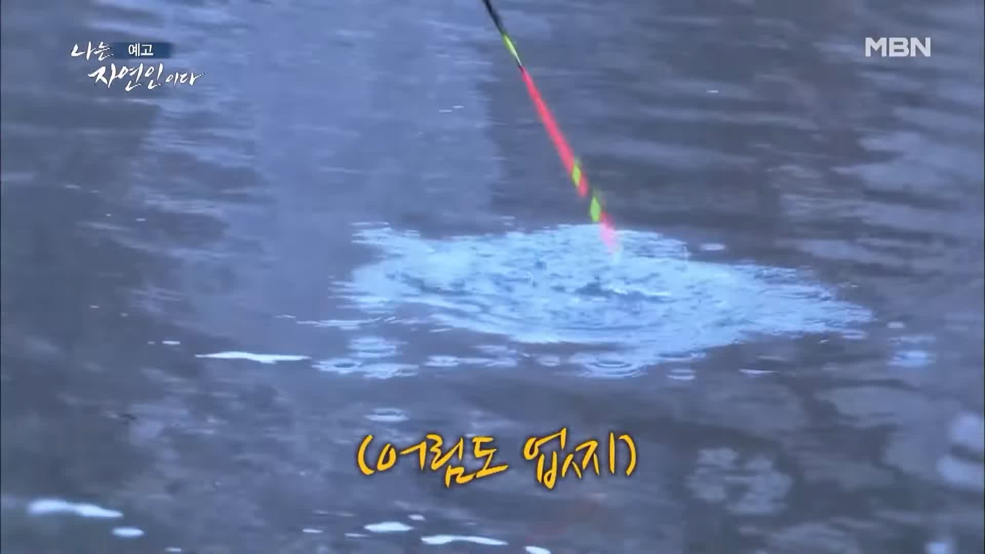 나는 자연인이다 전 재산 사기 후 얻은 반려견 자유로운 삶 내 마음은 호수 자연인 황창환 소개 및 이승윤 출연 539회 다시보기