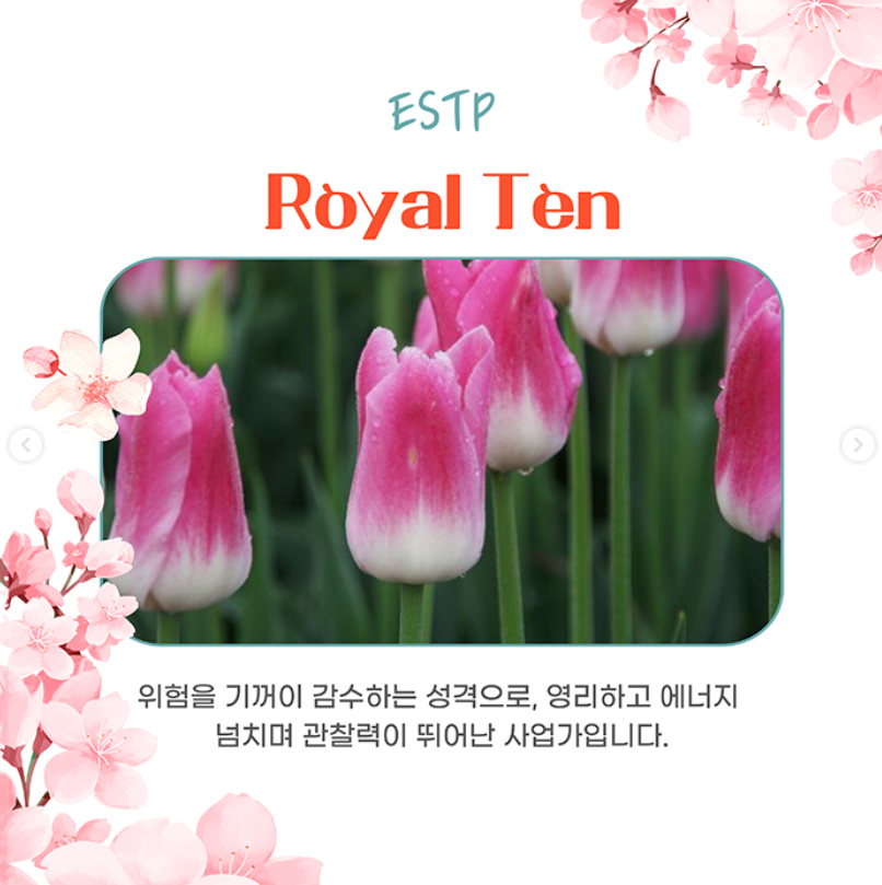 태안 세계튤립꽃박람회 입장료