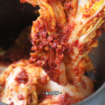 배추겉절이 만드는법