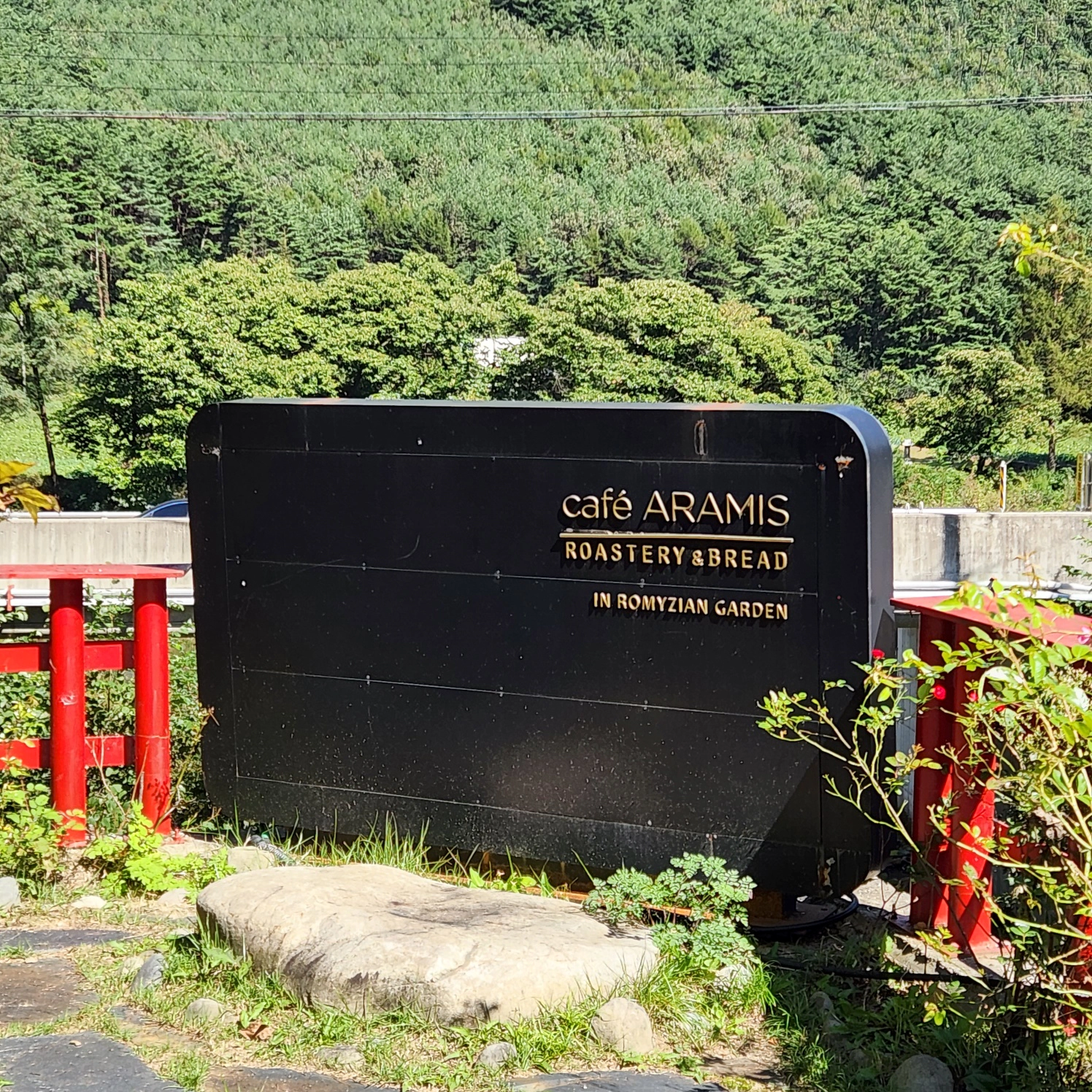 정선 브런치 맛집. 카페 아라미스 건물 밖 전경