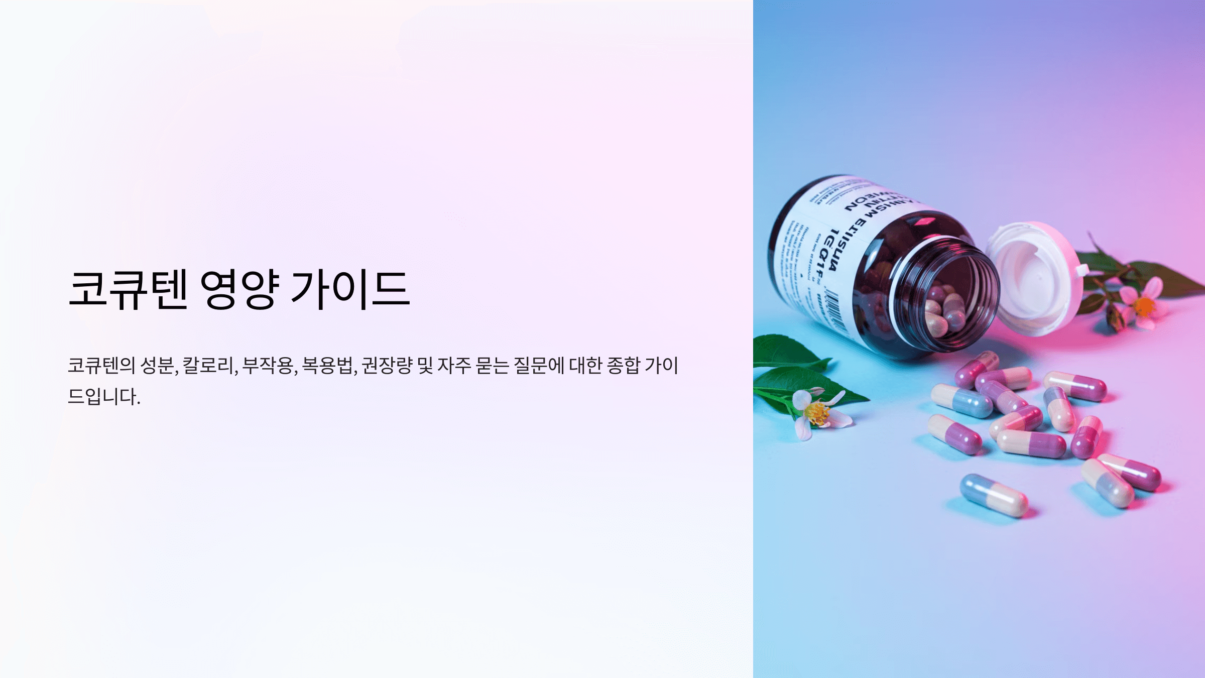 코큐텐과 관련된 사진입니다.