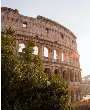 자연을 모방한 건축, 바이오미미크리와 바이오필릭 비교