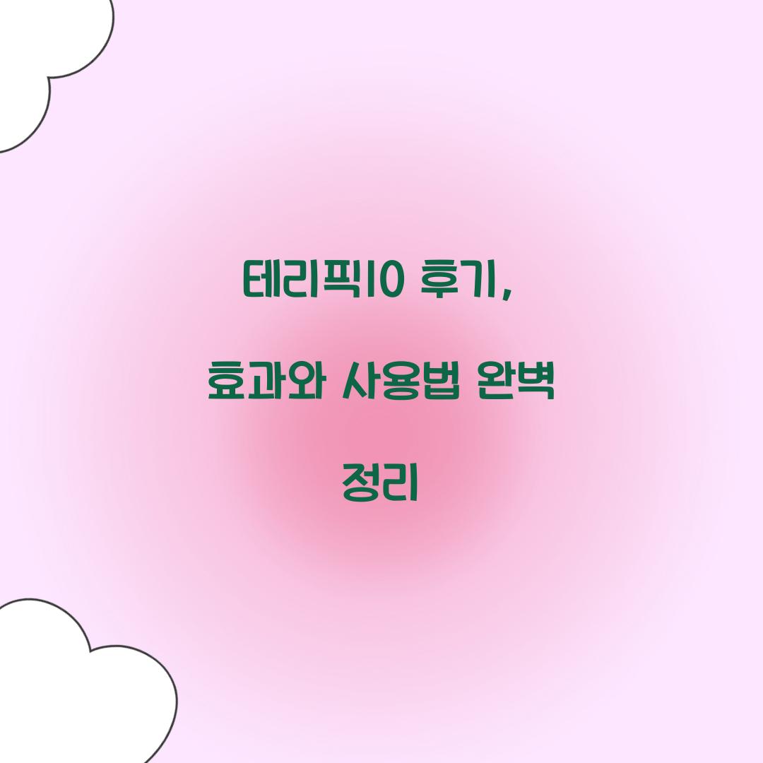 테리픽10 후기