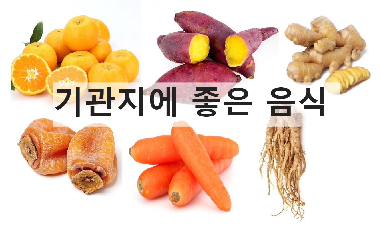 기관지에 좋은 음식