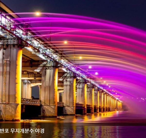 Banpo Hangang Park Night View Fishing