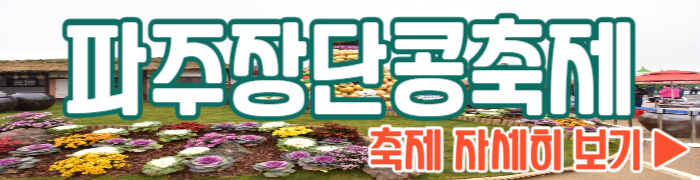 파주장단콩축제 보기