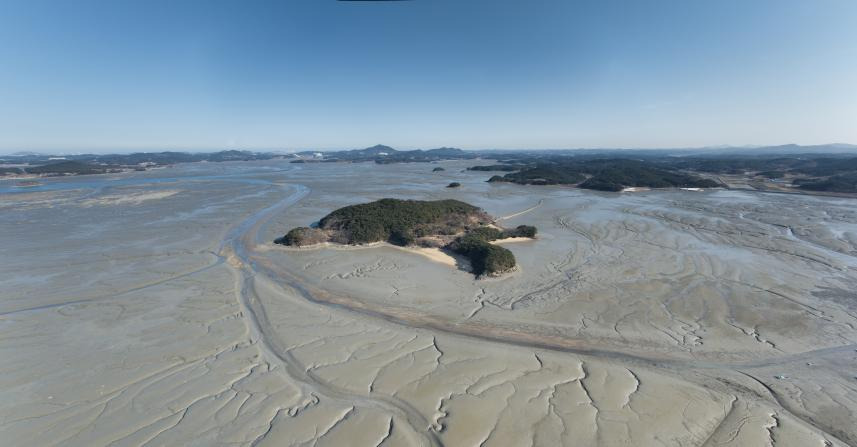 한국갯벌 관련사진