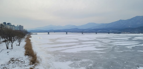 남양주 반려견 겨울 나들이 명소, 강아지와 함께 산책하기 좋은 곳 추천