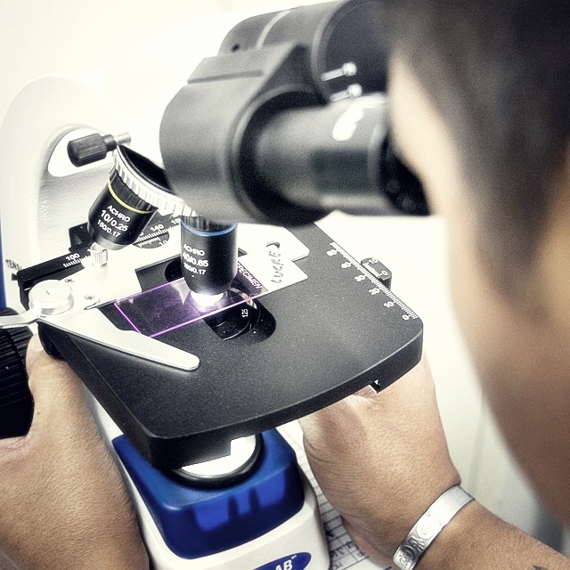 신라젠 주가분석