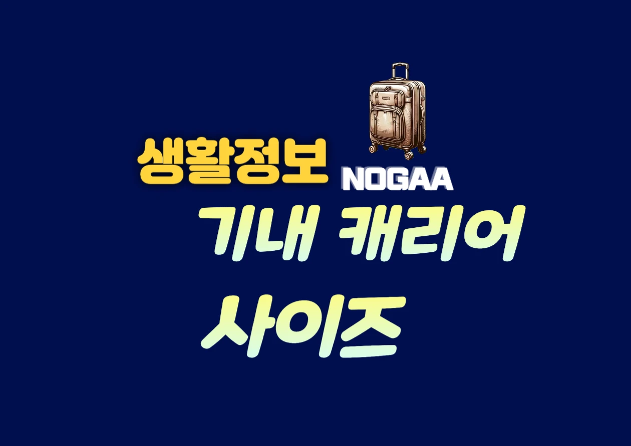 기내용 캐리어 사이즈, 항공사별 규격과 무게 확인하기
