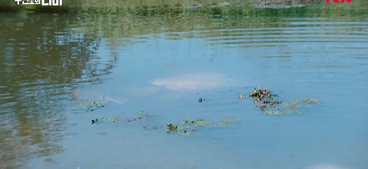 무인도의디바_9회