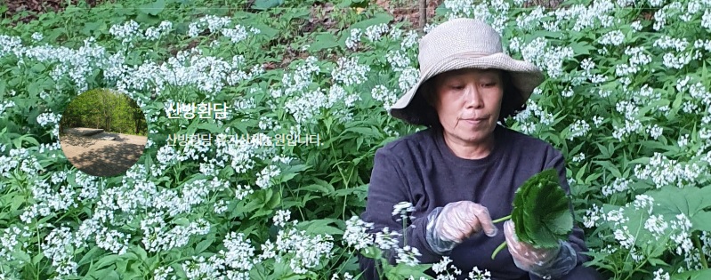 생방송투데이 이 주의 장바구니 화천 산나물 숲 ‘산방환담’에서 만나는 제철 명이나물