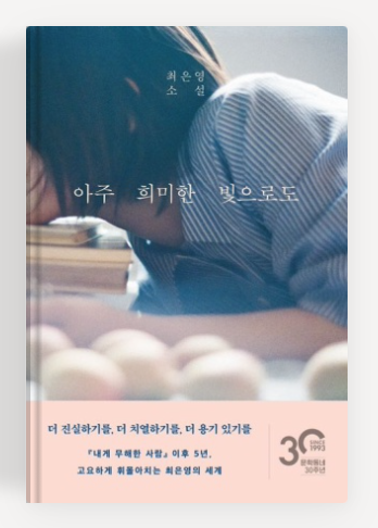 최은영 작가의 '아주 희미한 빛으로도' 책표지.