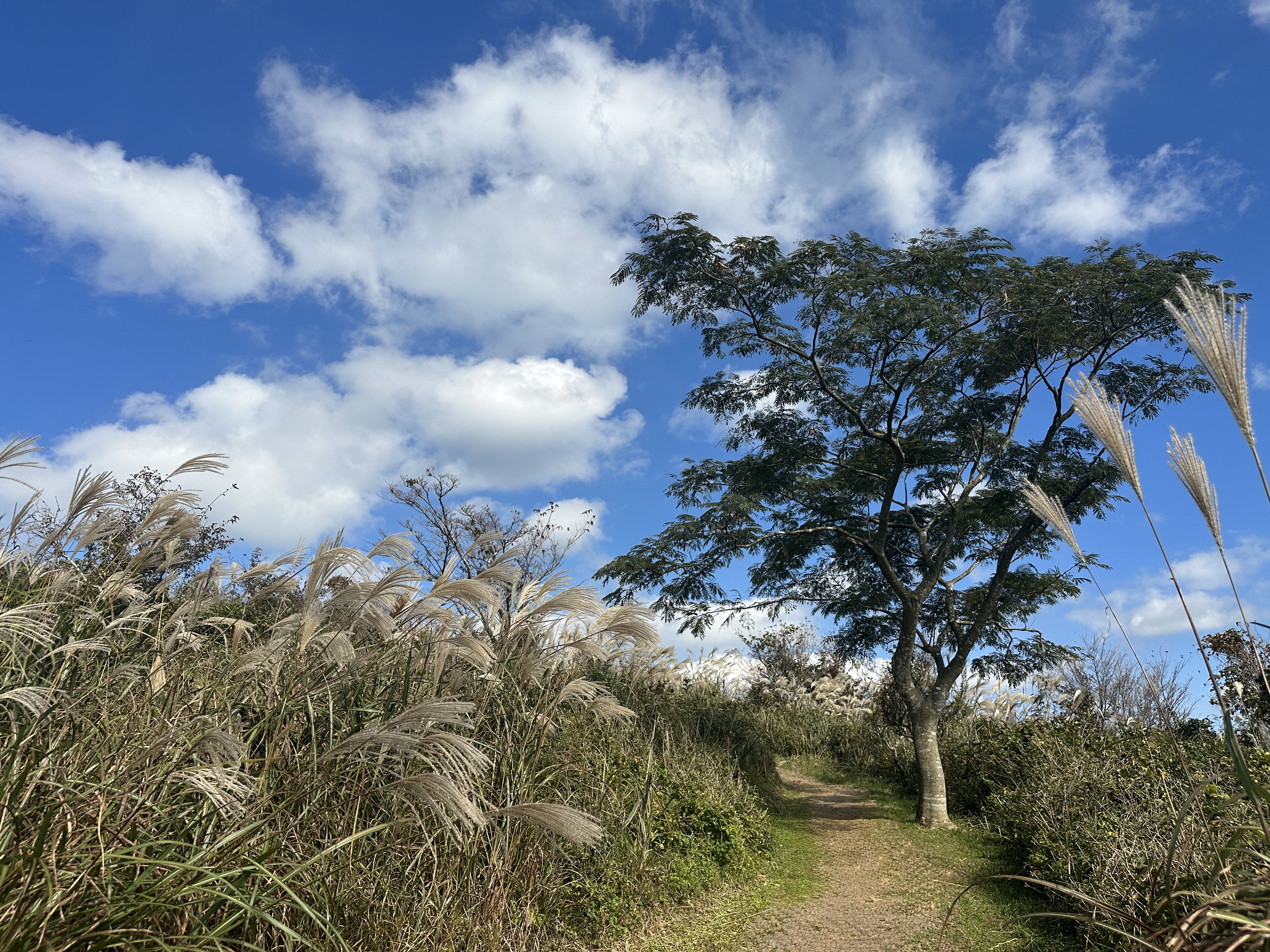 거친오름 탐방로 