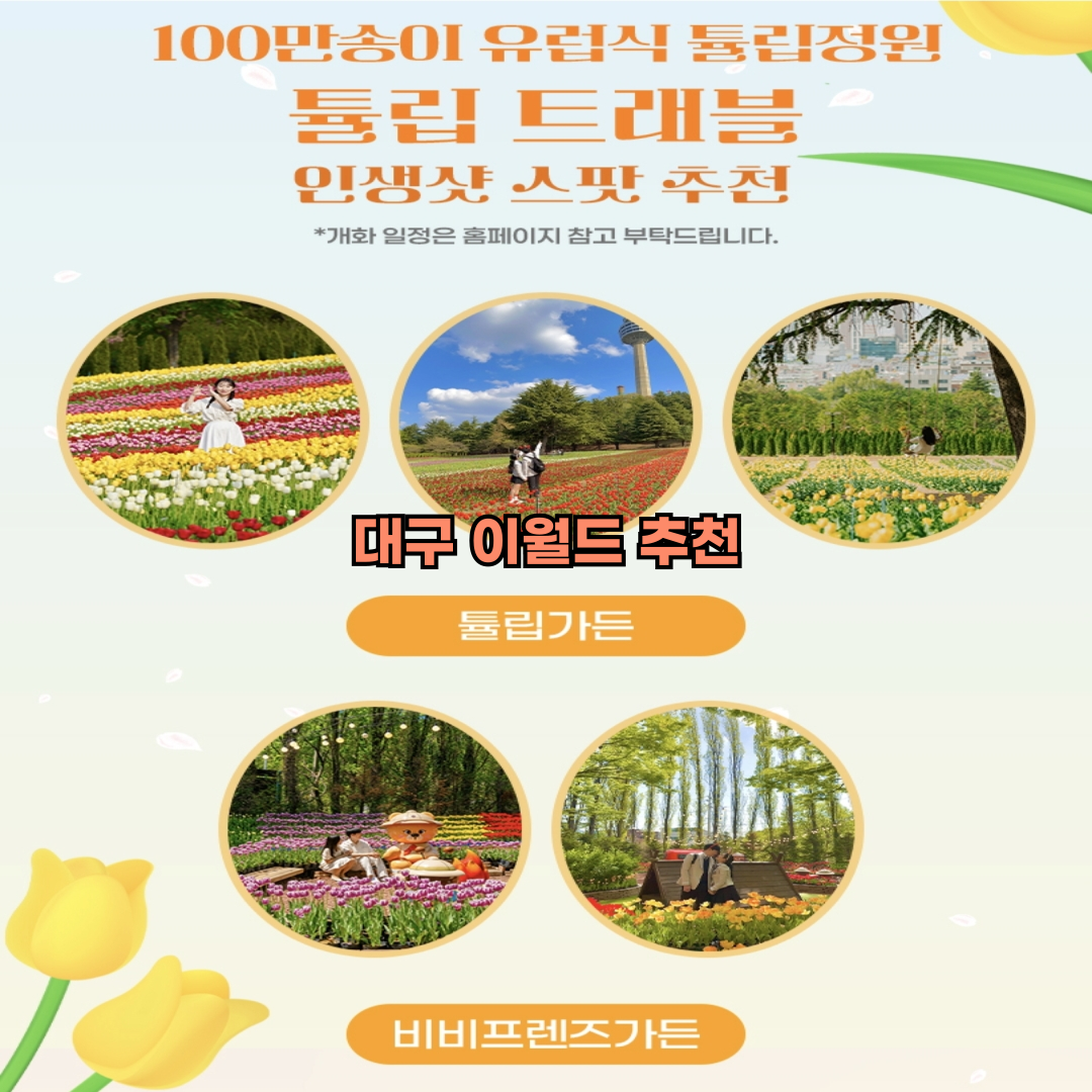 대구 이월드 추천