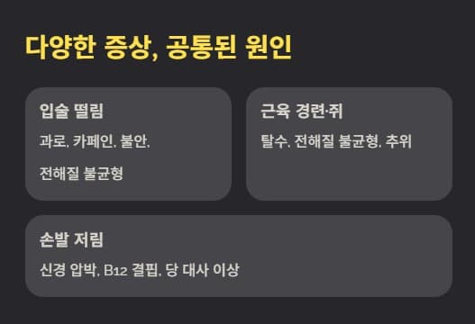 입술 떨림&middot;근육 경련&middot;쥐의 공통 원인 분류