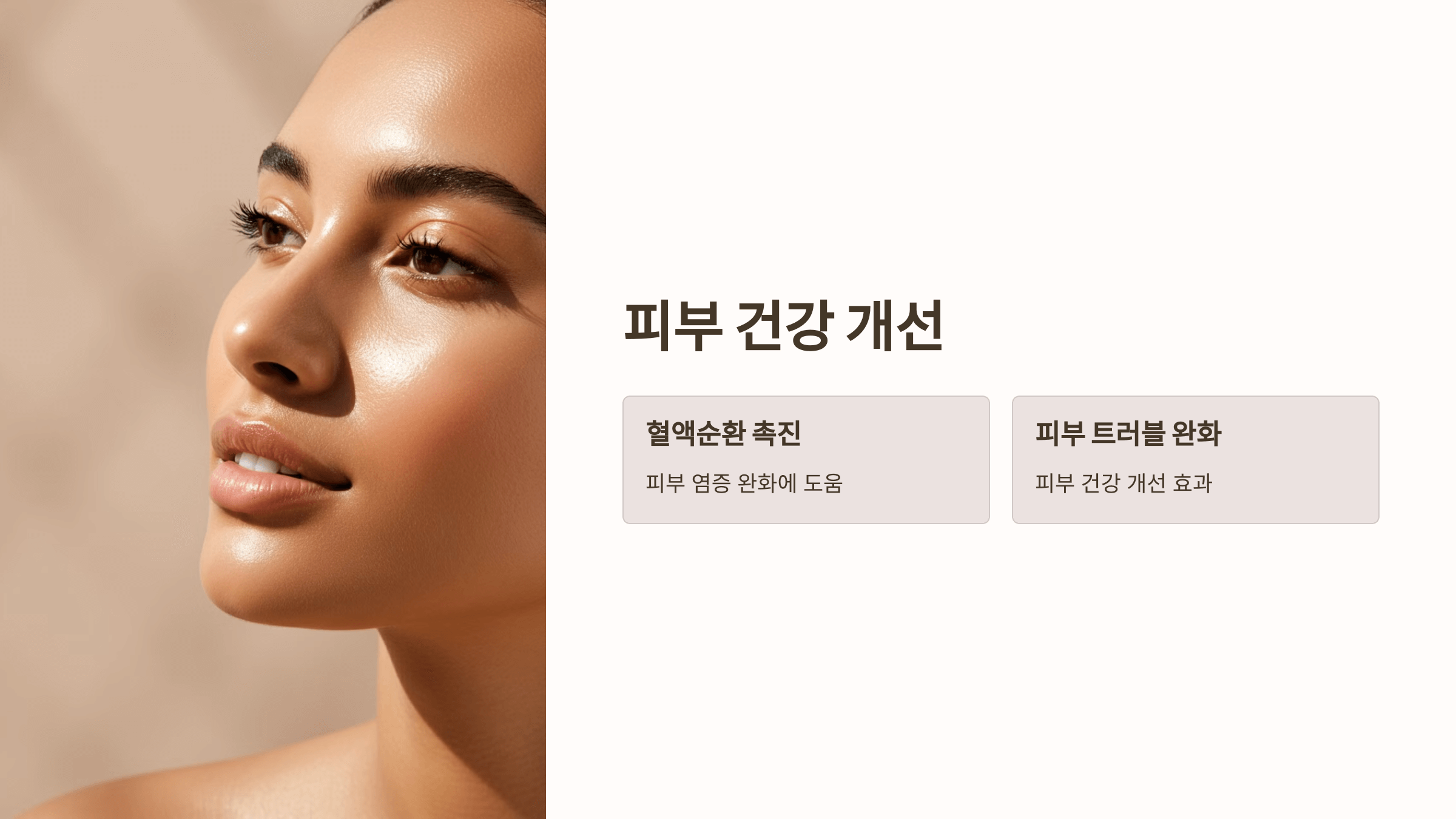 인진쑥 사진입니다.