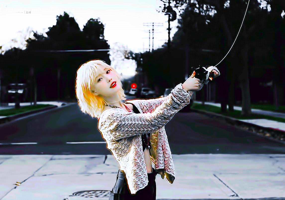 1263.gif