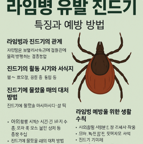 라임병 유발 진드기, 특징과 예방 방법 (물렸을 때 대처 방법은?) (이미지 챗지피티)