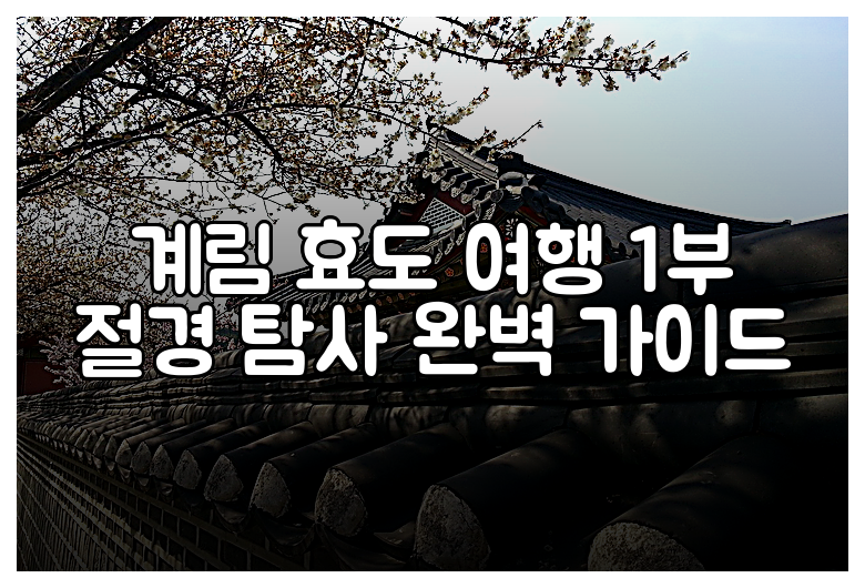 계림 효도 여행 1부 절경 탐사 완벽 가이드