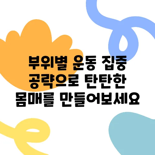 부위별 운동 집중 공략으로 탄탄한 몸매를 만들어보세요