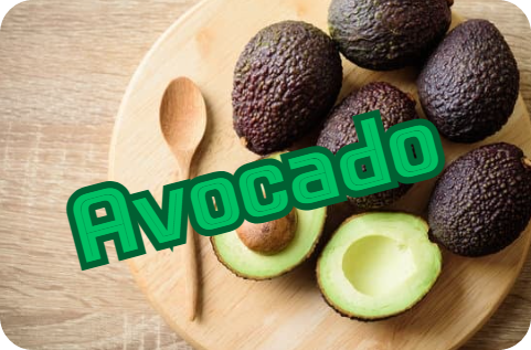 아보카도(Avocado)