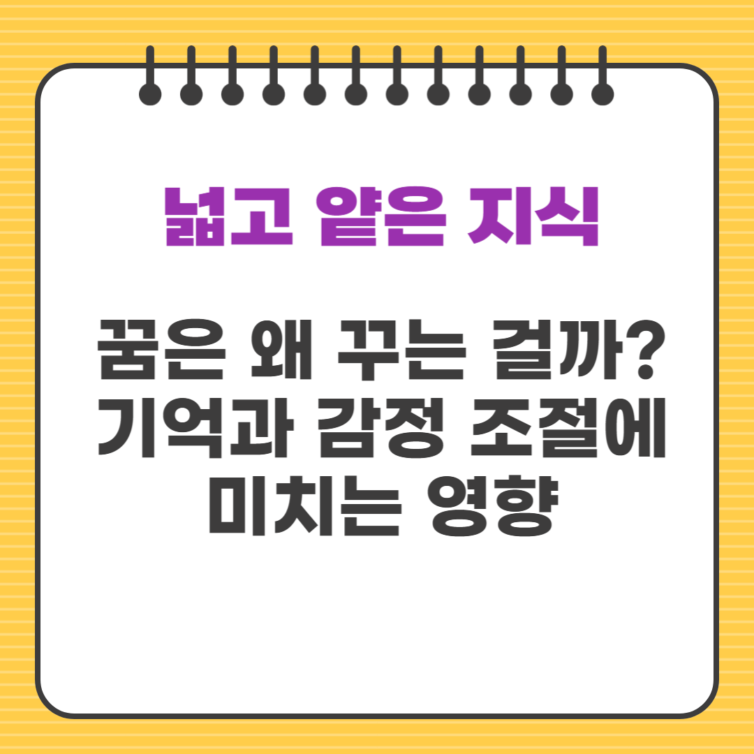 꿈은 왜 꾸는 걸까? 기억과 감정 조절에 미치는 영향