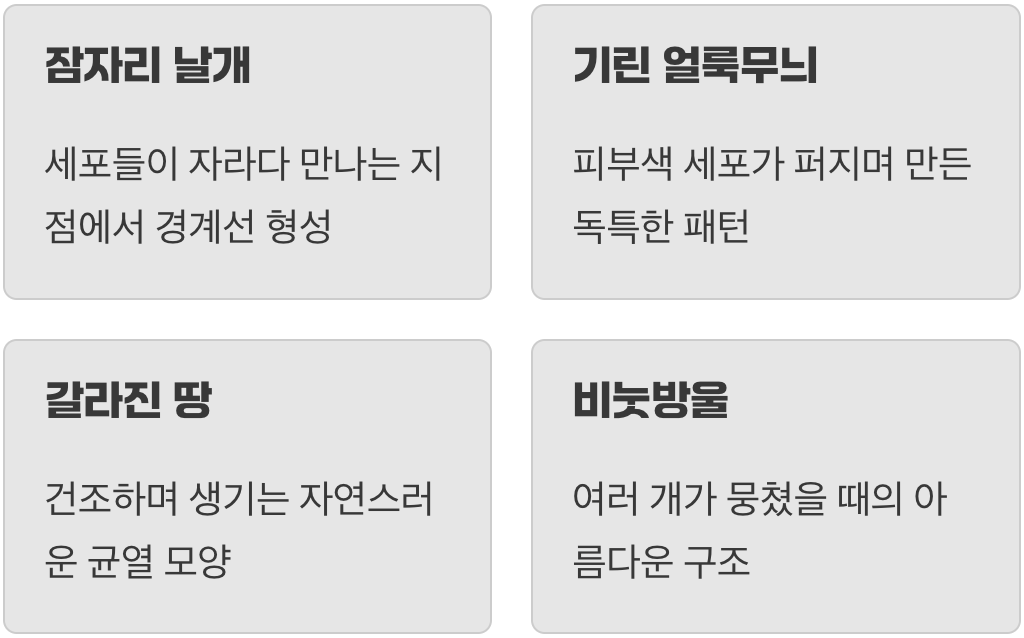 자연이 그린 신기한 예술 작품