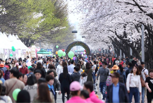 여의도 봄꽃축제