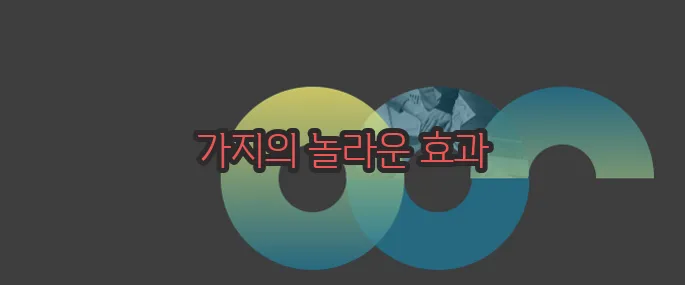 가지 효능 부작용 섭취방법 알아볼게요