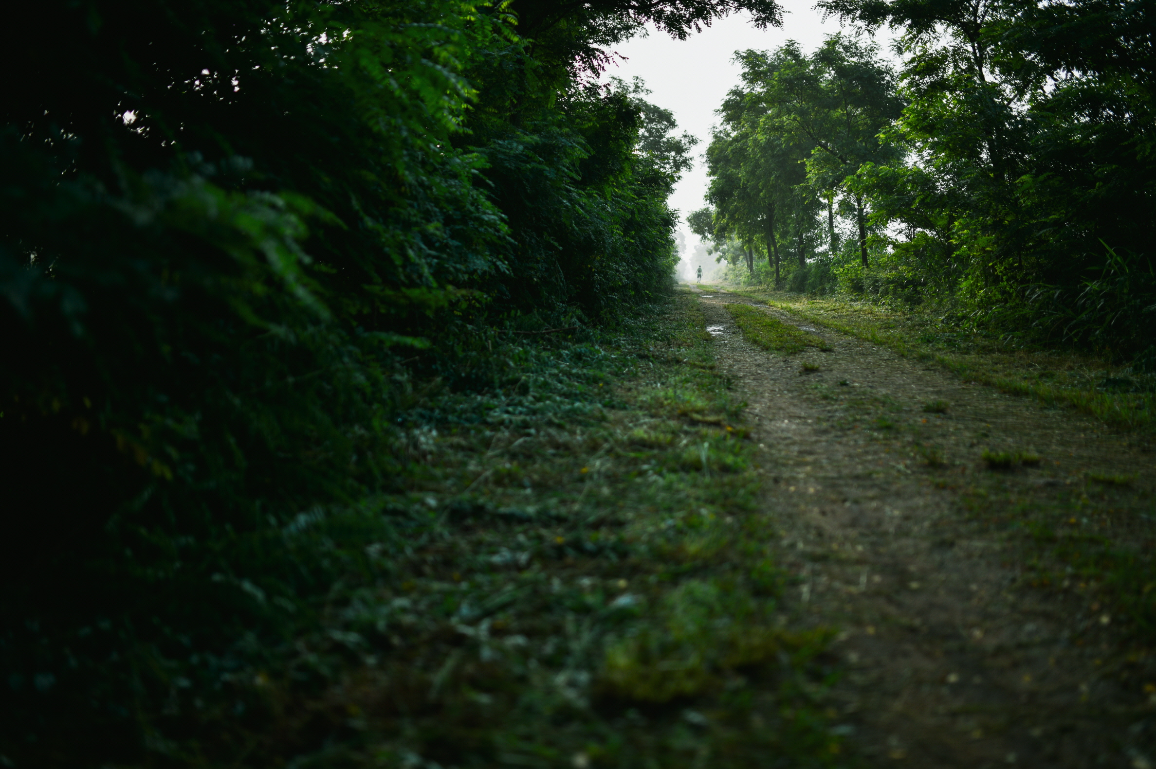 미생의 다리 주변 길 산책