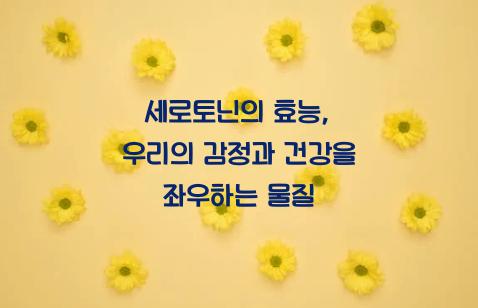 세로토닌효능
