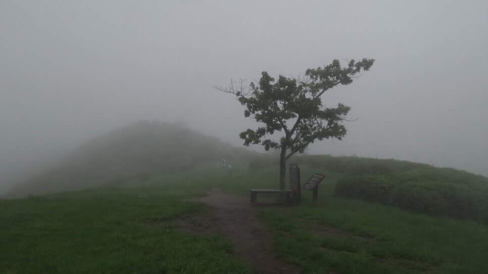 100대 명산 등산하기 쉰한번째 합천 황매산 사계절에 빛나는 억새&middot;철쭉 명산