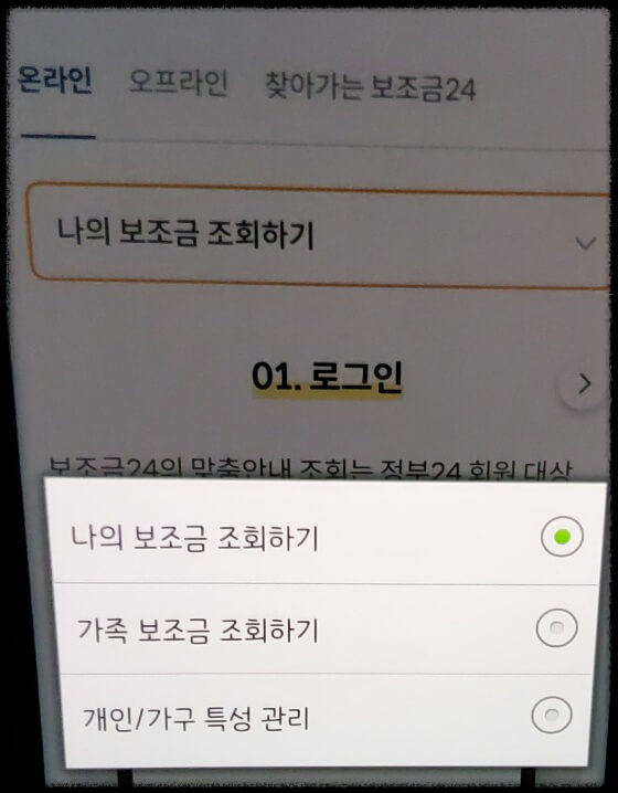 정부지원금 조회