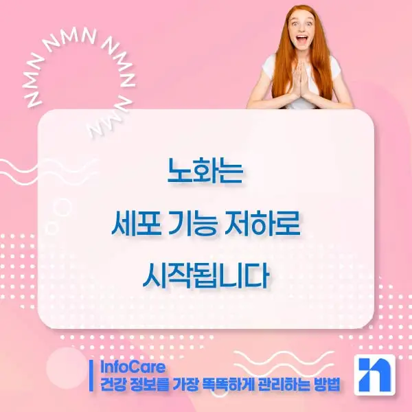 NMN 효능 효과 복용법