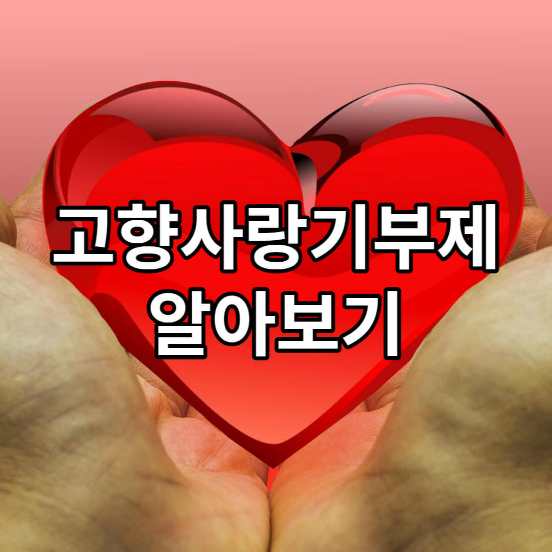 고향사랑기부제
