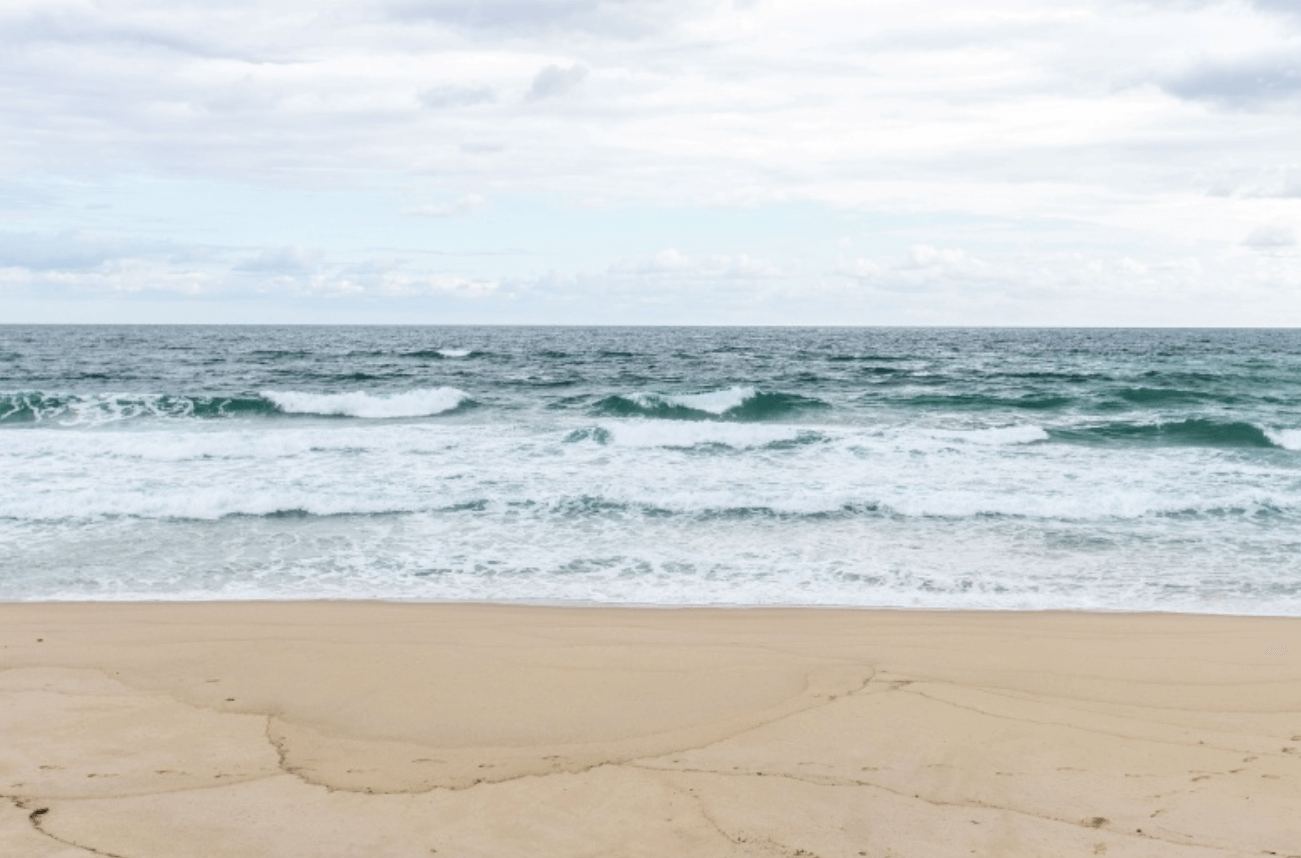 강원도 겨울 반려동물 애견 동반 여행지 추천