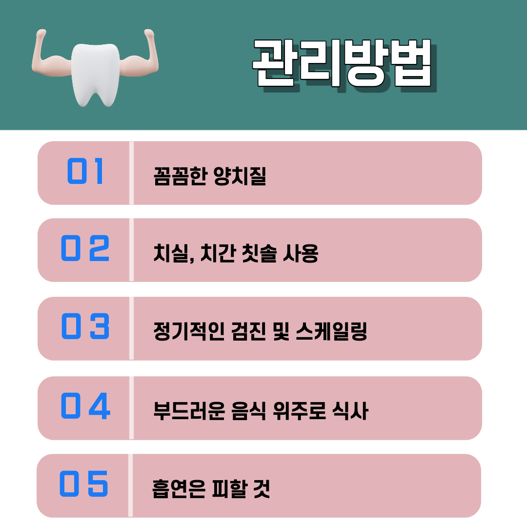 임플란트 관리방법