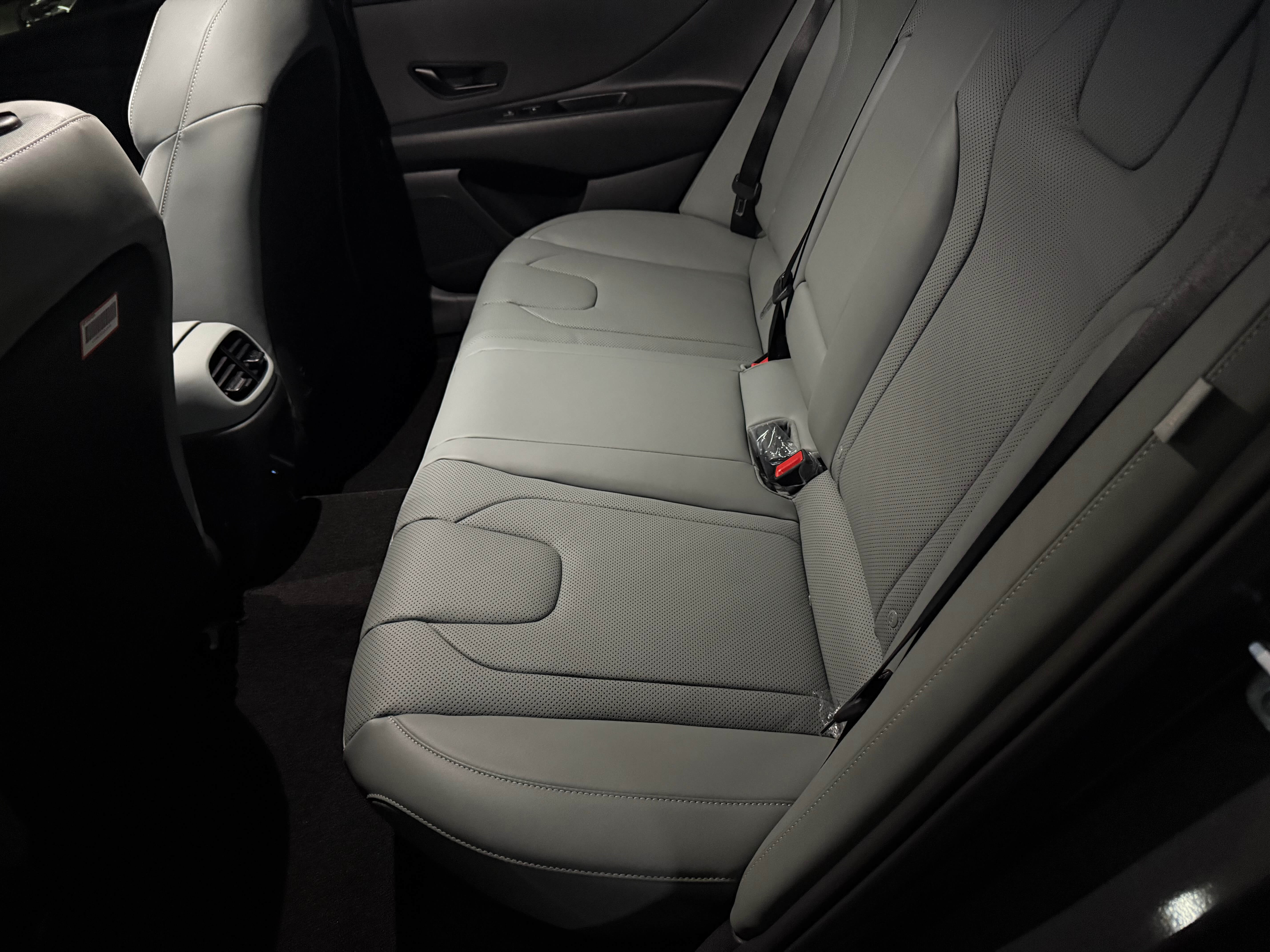 뒷자석 세이지 그린 시트