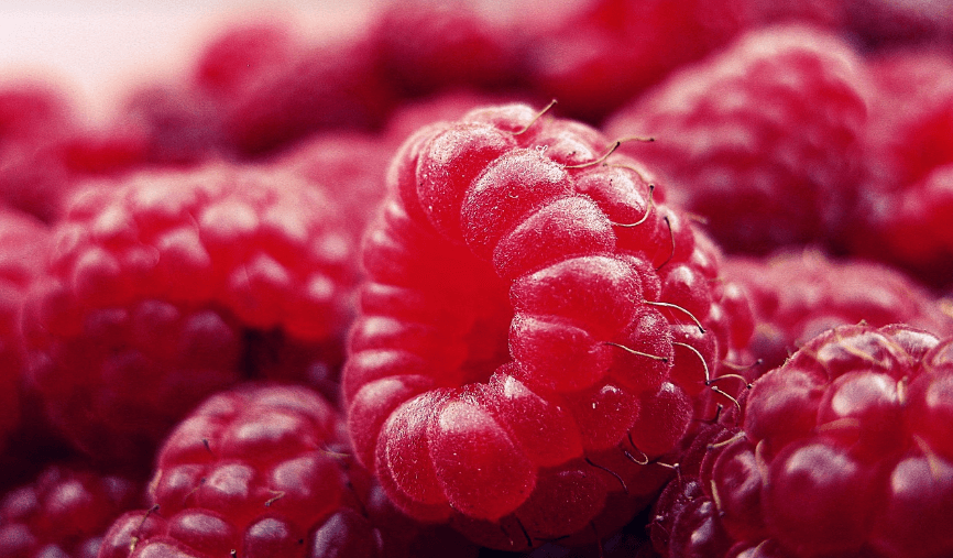 산딸기 사진 - 4