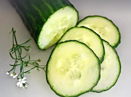 오이 효능 부작용, 재배부터 수확 까지 오이에 대한 모든 것