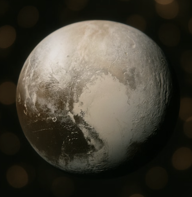 그럼에도, 우리는 너를 기억해