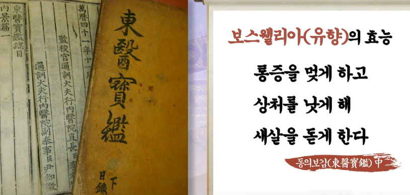 보스웰리아 효능