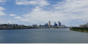 한강수영장 개장일정