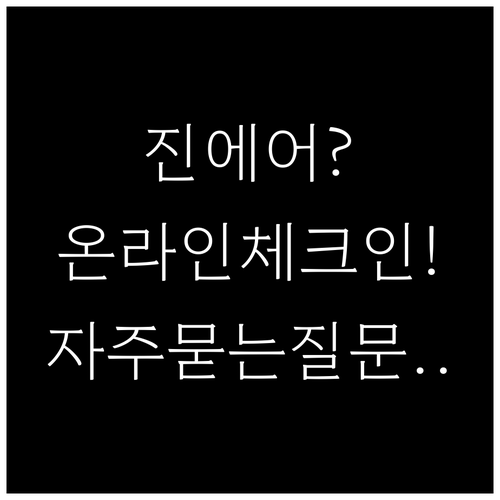 진에어 온라인 체크인 자주 묻는 질문..
