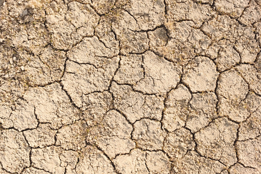 Carbon neutrality.
