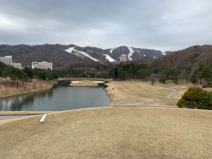 강원도 휘닉스파크 CC 골프장 소개 및 예약방법